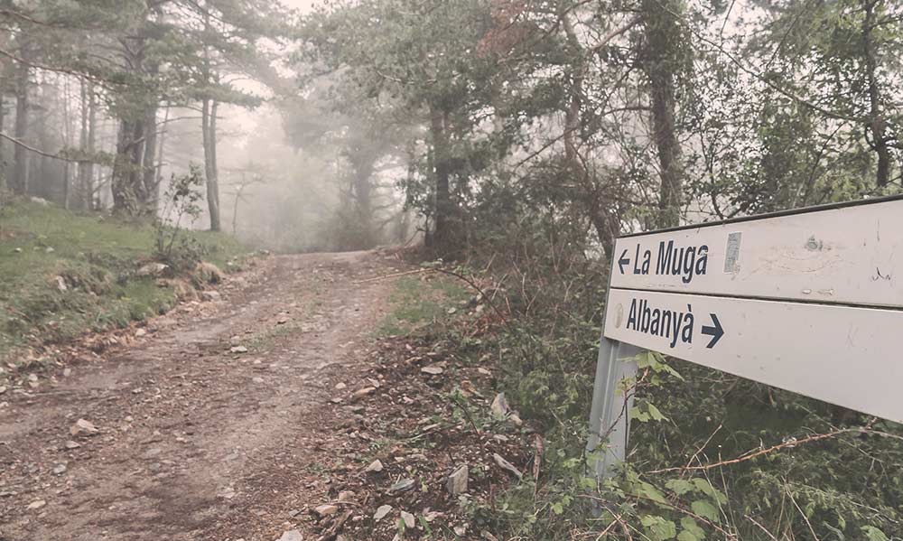 foundation-muga-9