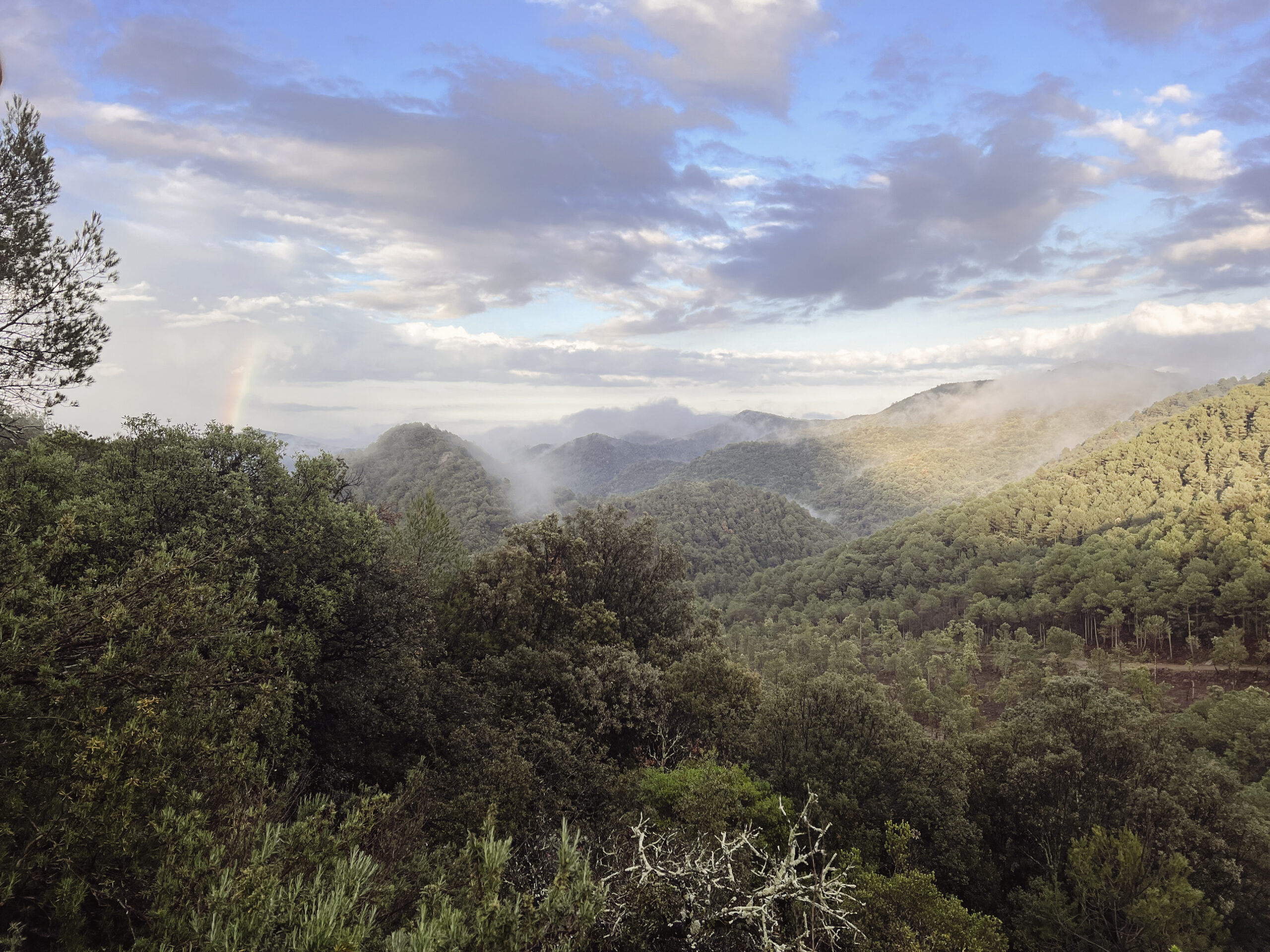 0056_stef.pioniers.WATR.2025-149