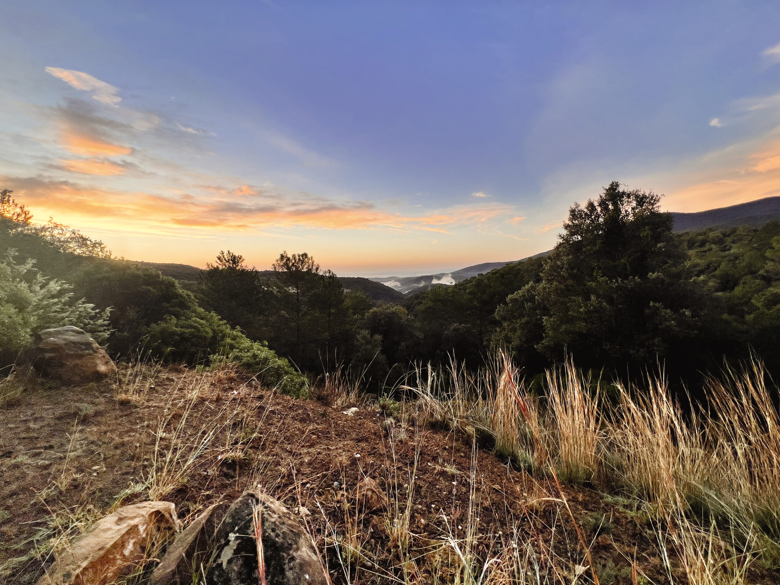 0069_stef.pioniers.WATR.2025-340