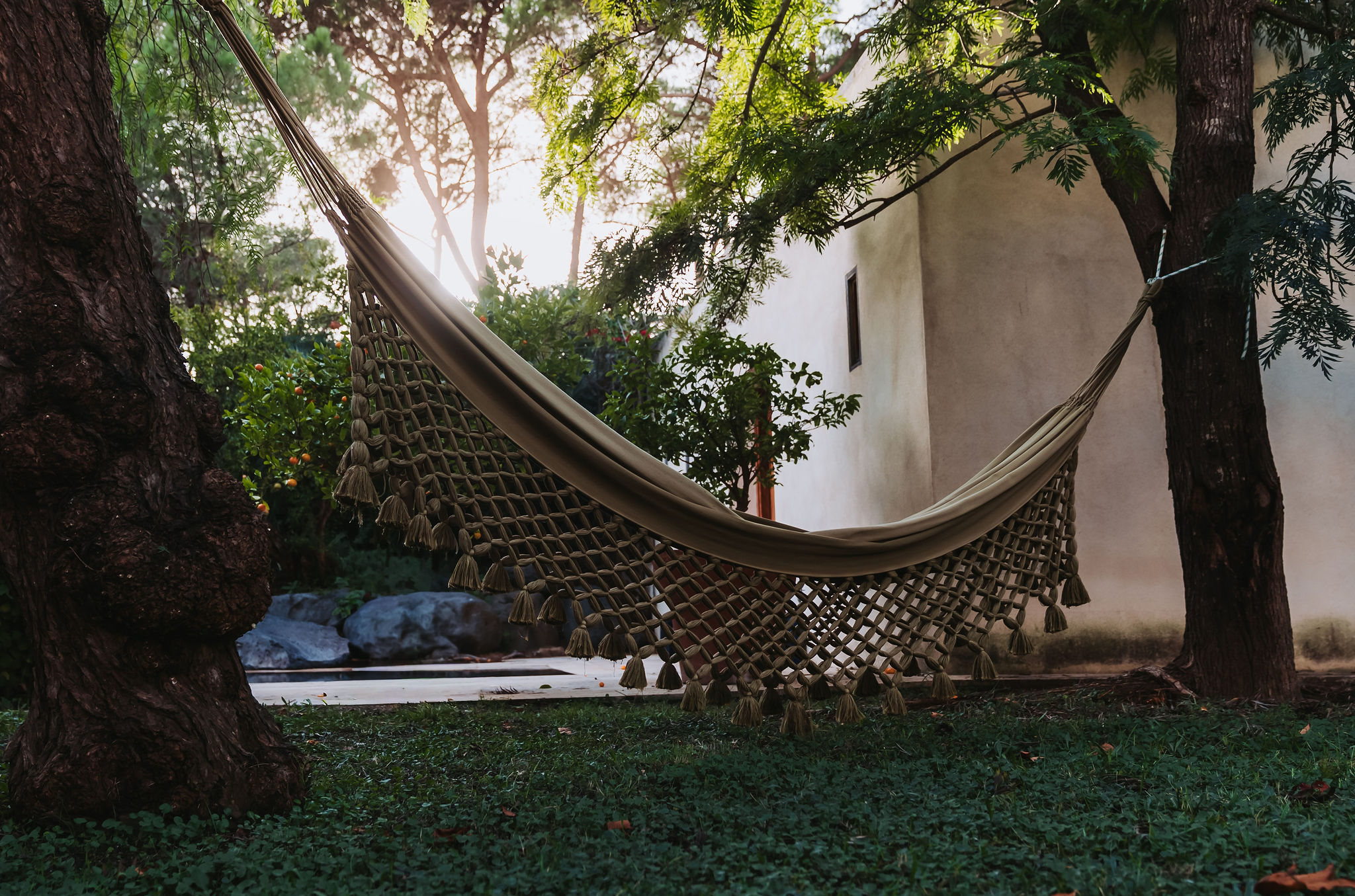 Pioneers_HomeSea_Palamos_Brugarol_CDDiederik_2025-309359