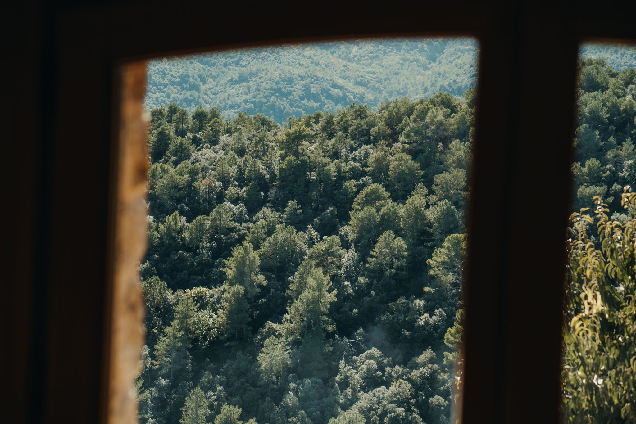 Pioneers_TheHome_pioneers_CDDiederik_2025_-30040