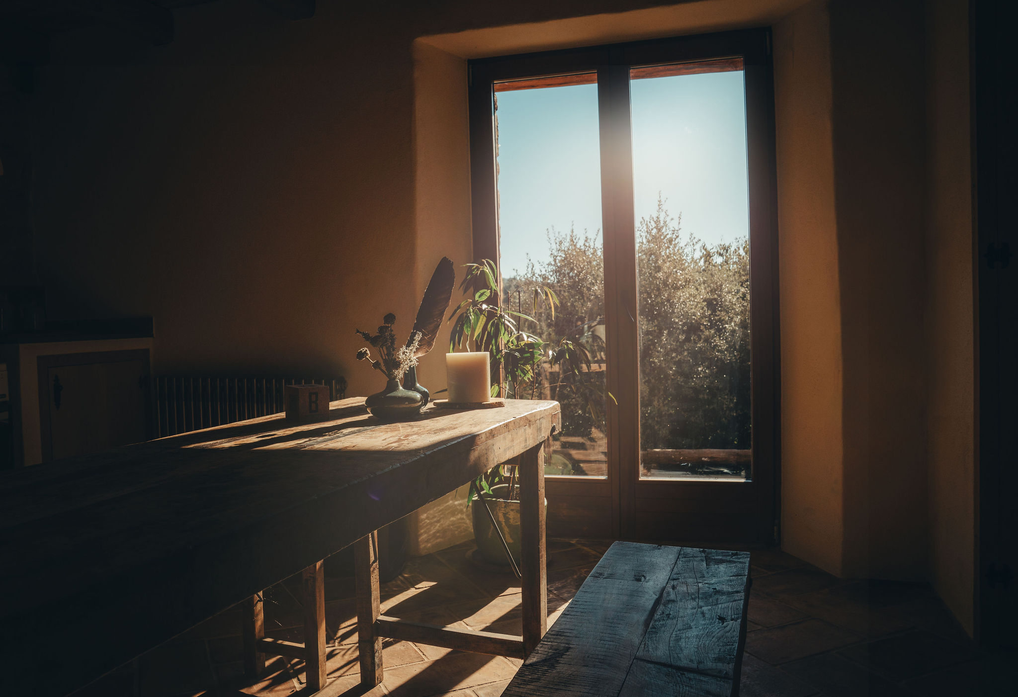 Pioneers_TheHome_pioneers_CDDiederik_2025_-39923-Edit